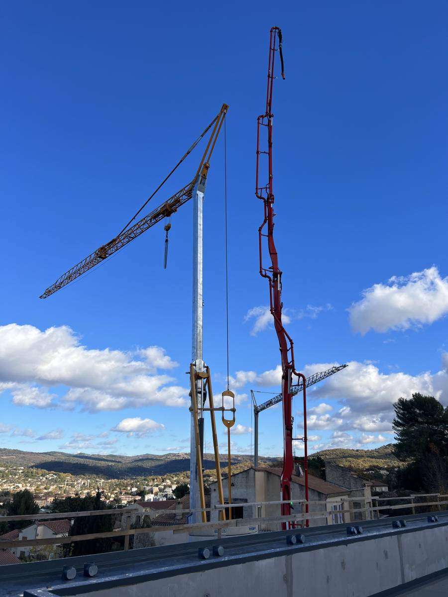 Grue avec option de gestion à distance