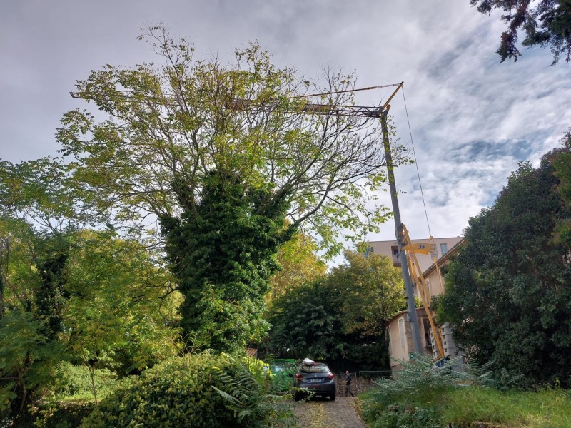 Mise en place d’une grue de chantier pour réfection de toiture de grande superficie à Salon de Provence dans les Bouches du Rhône